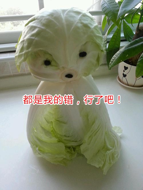白菜错了
